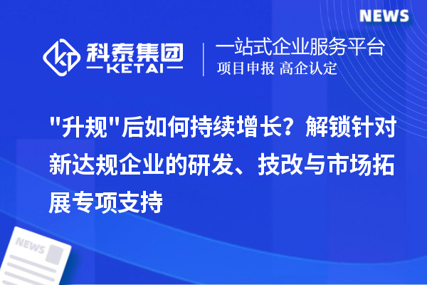 "升规"后如何持续增长？解锁针对新达规企业的研发、技改与市场拓展专项支持