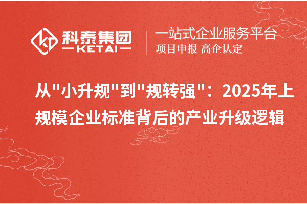从"小升规"到"规转强"：2025年上规模企业标准背后的产业升级逻辑