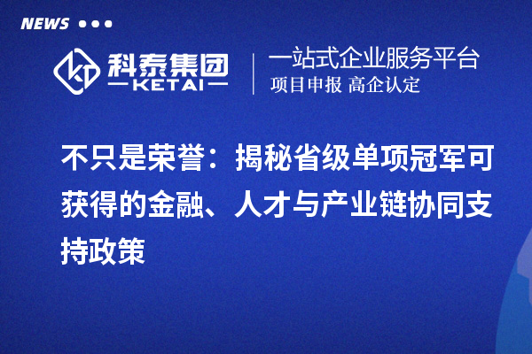 不只是荣誉：揭秘省级单项冠军可获得的金融、人才与产业链协同支持政策