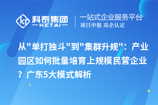 从"单打独斗"到"集群升规"：产业园区如何批量培育上规模民营企业？广东5大模式解析
