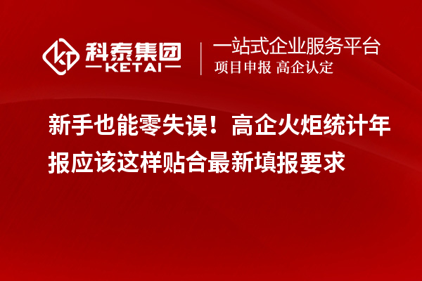 新手也能零失误！高企火炬统计年报应该这样贴合最新填报要求