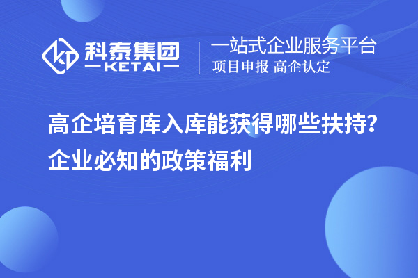 高企培育库入库能获得哪些扶持？企业必知的政策福利