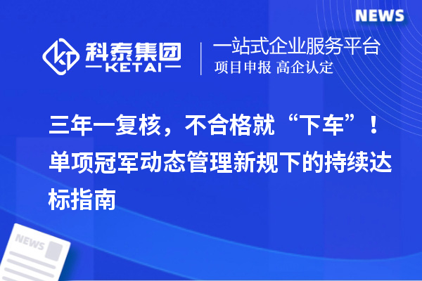 三年一复核，不合格就“下车”！单项冠军动态管理新规下的持续达标指南