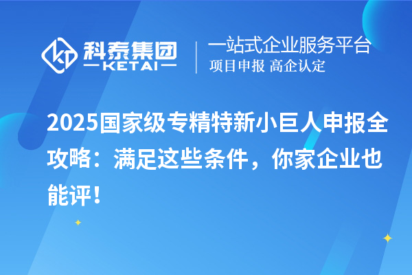  2025国家级专精特新小巨人申报全攻略：满足这些条件，你家企业也能评！