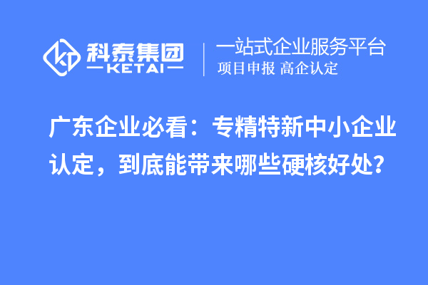 广东企业必看：专精特新中小企业认定，到底能带来哪些硬核好处？