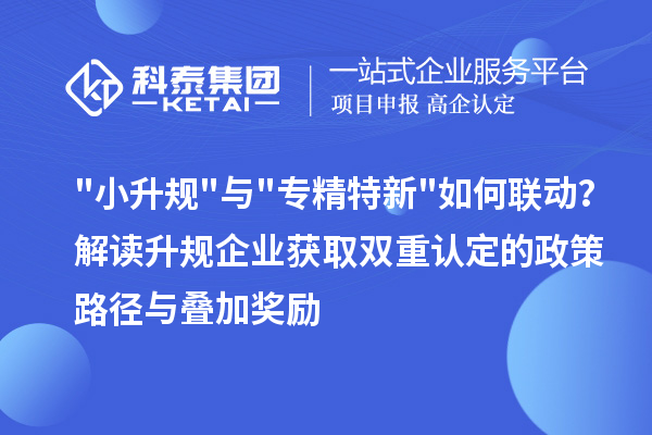 小升规与专精特新如何联动？解读升规企业获取双重认定的政策路径与叠加奖励
