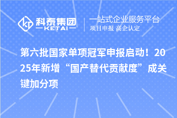 第六批国家单项冠军申报启动！2025年新增“国产替代贡献度”成关键加分项