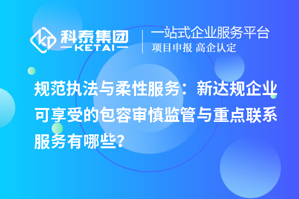 规范执法与柔性服务：新达规企业可享受的包容审慎监管与重点联系服务有哪些？