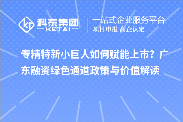 专精特新小巨人如何赋能上市？广东融资绿色通道政策与价值解读