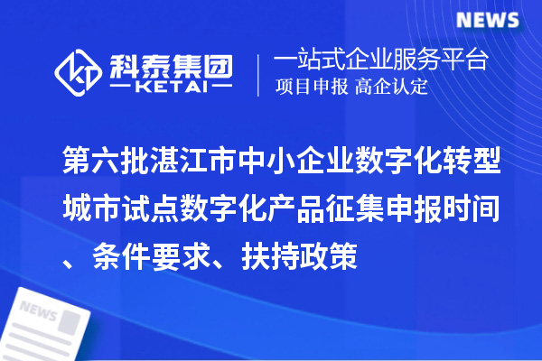 第六批湛江市中小企业数字化转型城市试点数字化产品征集申报时间、条件要求、扶持政策