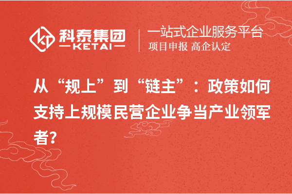 从“规上”到“链主”：政策如何支持上规模民营企业争当产业领军者？