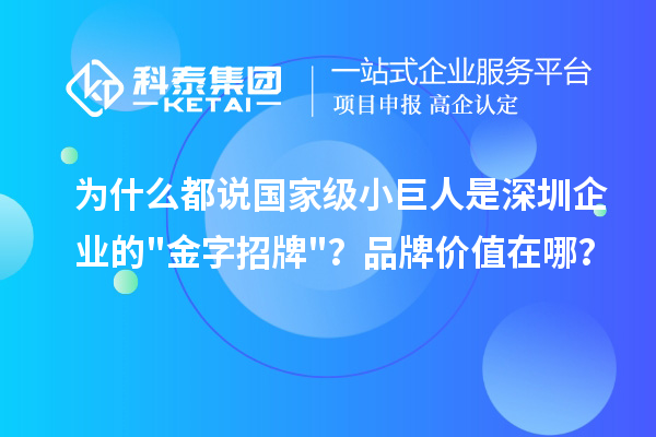 为什么都说国家级小巨人是深圳企业的金字招牌？品牌价值在哪？
