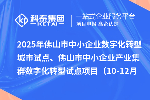 2025年佛山市中小企业数字化转型城市试点、佛山市中小企业产业集群数字化转型试点项目（10-12月批次）评审结果的公示