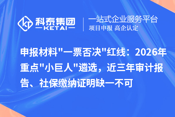 申报材料一票否决红线：2026年重点小巨人遴选，近三年审计报告、社保缴纳证明缺一不可