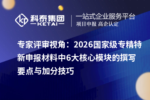 专家评审视角：2026国家级专精特新申报材料中6大核心?？榈淖匆阌爰臃旨记? style=