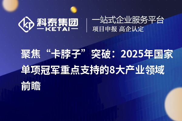 聚焦“卡脖子”突破：2025年国家单项冠军重点支持的8大产业领域前瞻