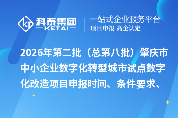 2026年第二批（总第八批）肇庆市中小企业数字化转型城市试点数字化改造项目申报时间、条件要求、补助奖励