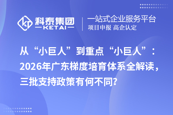 从“小巨人”到重点“小巨人”：2026年广东梯度培育体系全解读，三批支持政策有何不同？