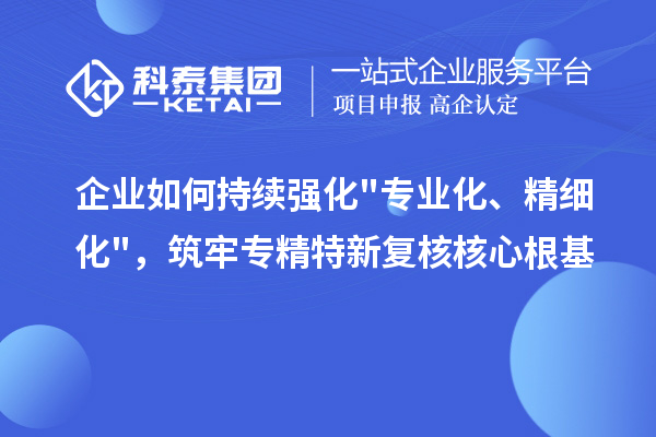  企业如何持续强化专业化、精细化，筑牢专精特新复核核心根基