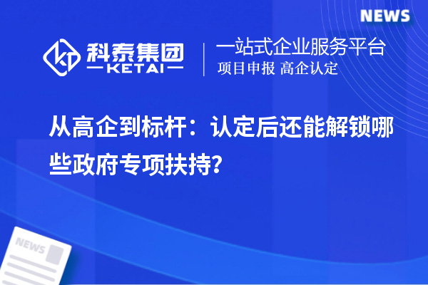  从高企到标杆：认定后还能解锁哪些政府专项扶持？